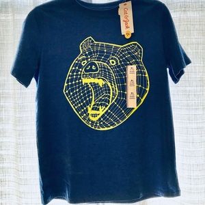 Cat & Jack Bear Short Sleeve Shirt - XL(16)